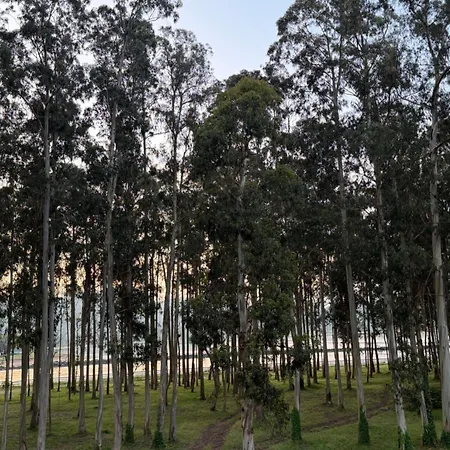 Apartmán El As Del Puntal